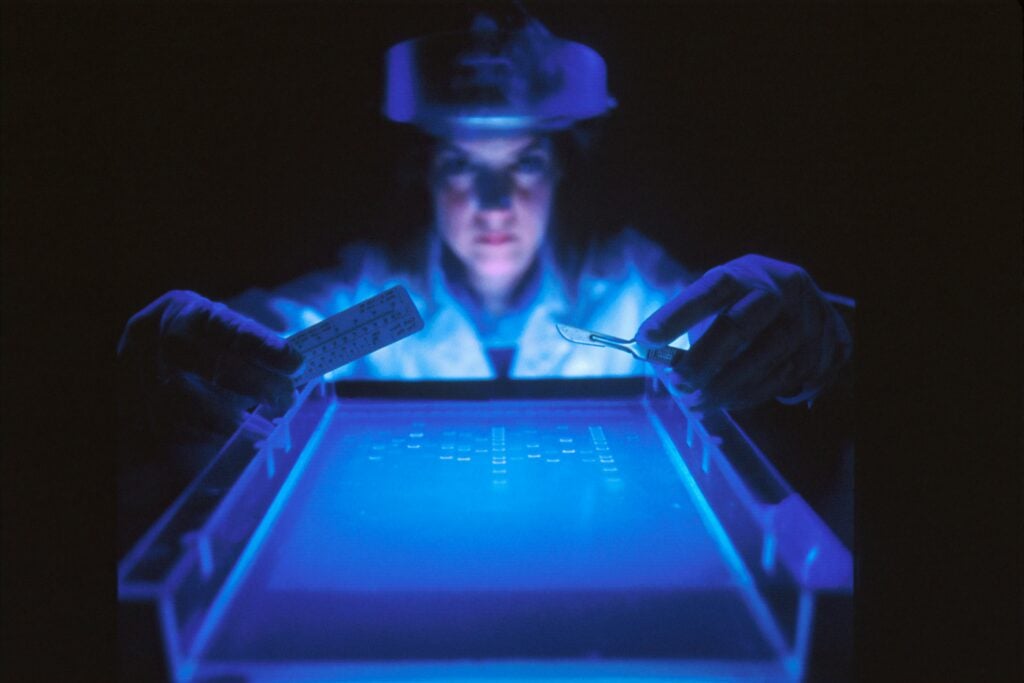 DNA testing is done in a lab by a forensic scientist